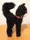 画像2: Schuco Black Cat (M) (2)