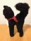 画像3: Schuco Black Cat (M) (3)