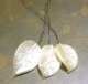 Cream Pearl Leaf Wired Beads 17*13mm