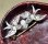 画像2: Antique Swallow Brooch (2)