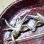 画像4: Antique Swallow Brooch (4)