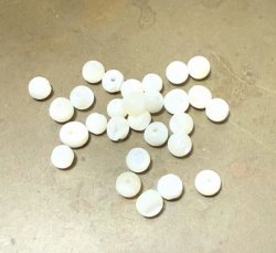 画像1: MOP Round Beads 3.5mm (20個入り）