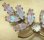 画像2: Antique Saphiret Leaves Brooch