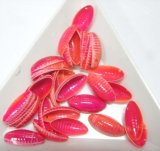 画像: Hot Pink Oval Sequins 14*8mm