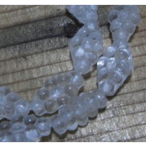 画像: Frosted Clear Diamond Beads 14*8.5mm (2個入り）