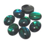 画像: Shell Green FB Oval 9.8*7.8mm(2個入り）