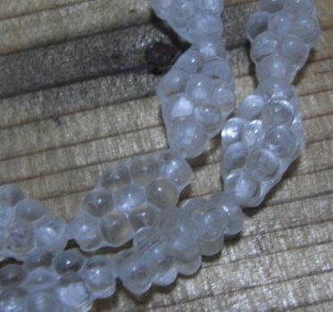 画像1: Frosted Clear Diamond Beads 14*8.5mm (2個入り）